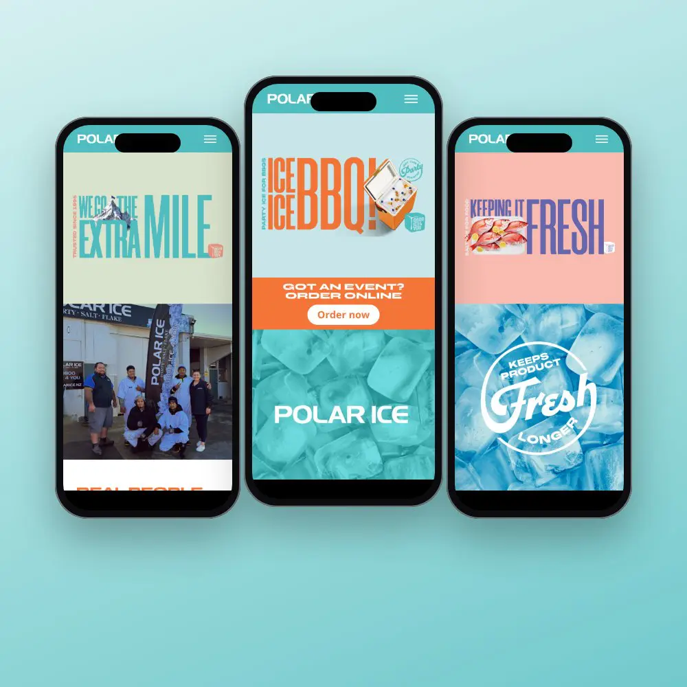 Polar Ice website on mobile