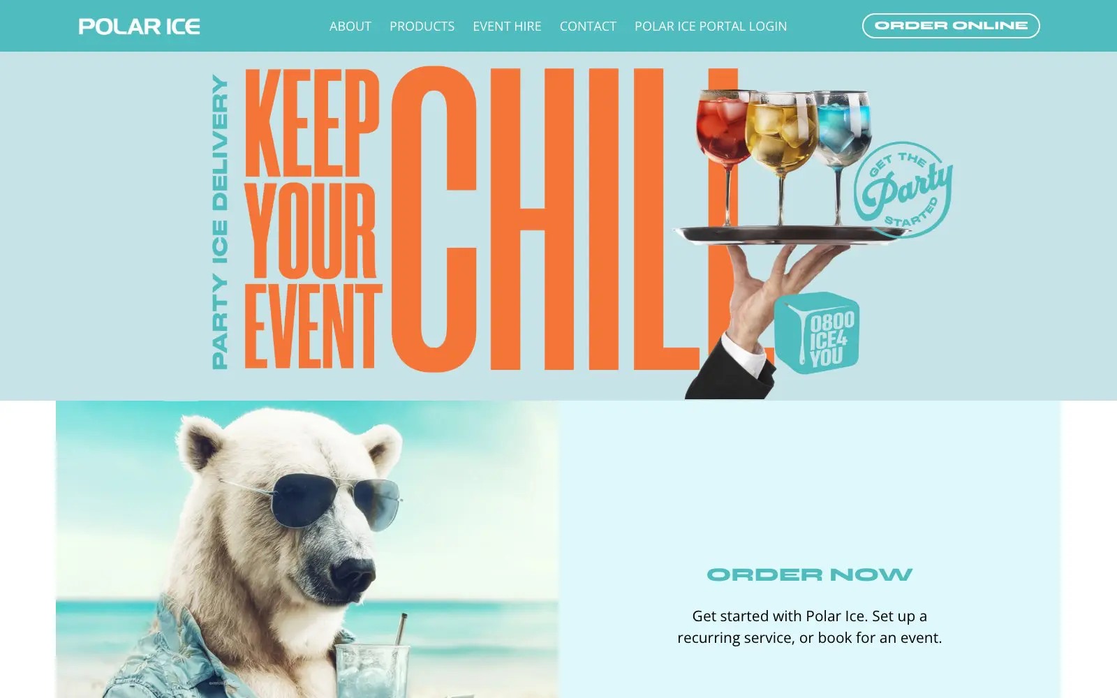 Polar Ice website page